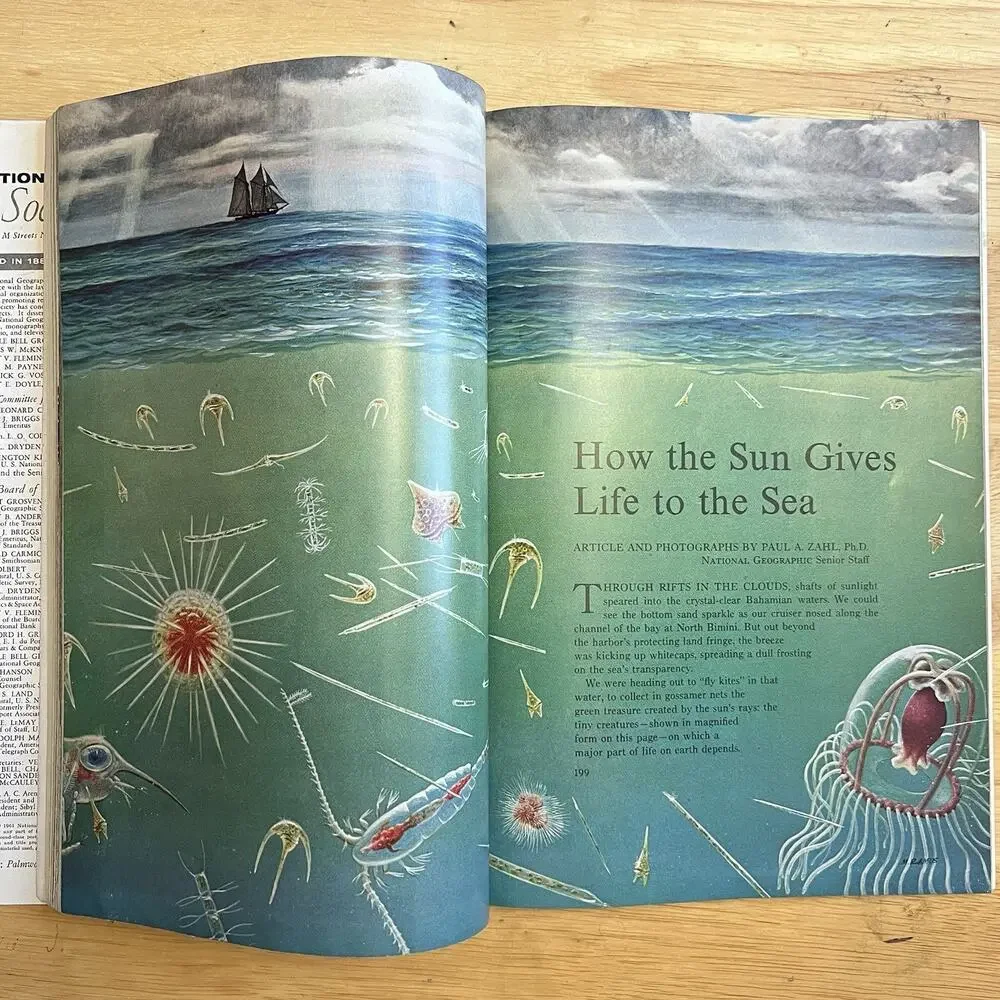 Vintage National Geographic February 1961 Texas Haiti Photosynthesis Coke Ad